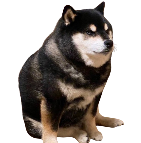 Snowball Logo